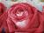 Piros rózsa lilommal 7 részes ágyneműhuzat